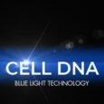 Cell DNA